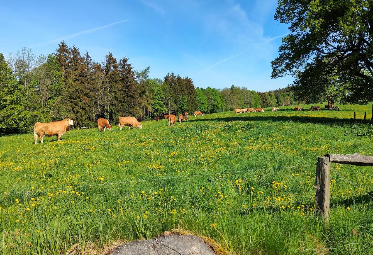 Zdomek Teplice nad Metují Exteriér fotografie